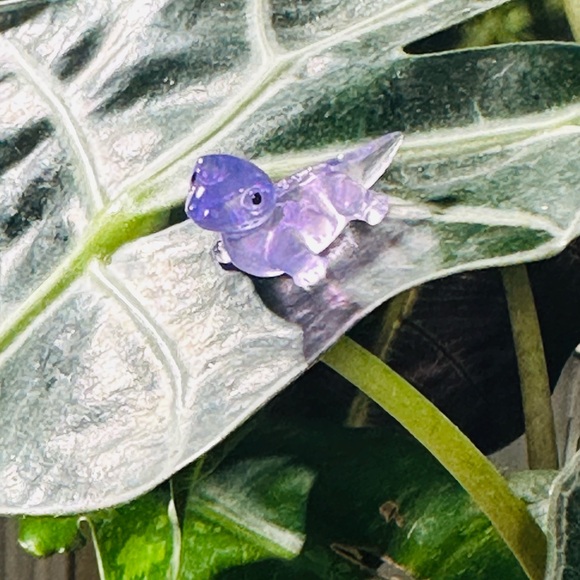 - 🍃20 pack plant magnets🍃 - Picture 10 of 15